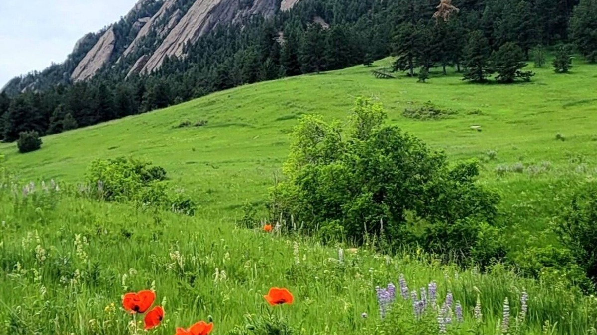 University Hill Cottage | Quiet Cottage Retreat Near Chautauqua & CU – Peaceful University Hill Location