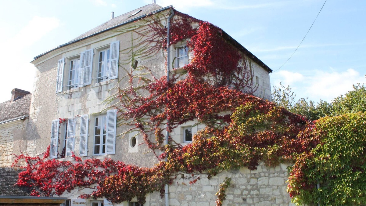 La Roche-Posay House | Quiet cottage with garden and WIFI in La Roche-Posay