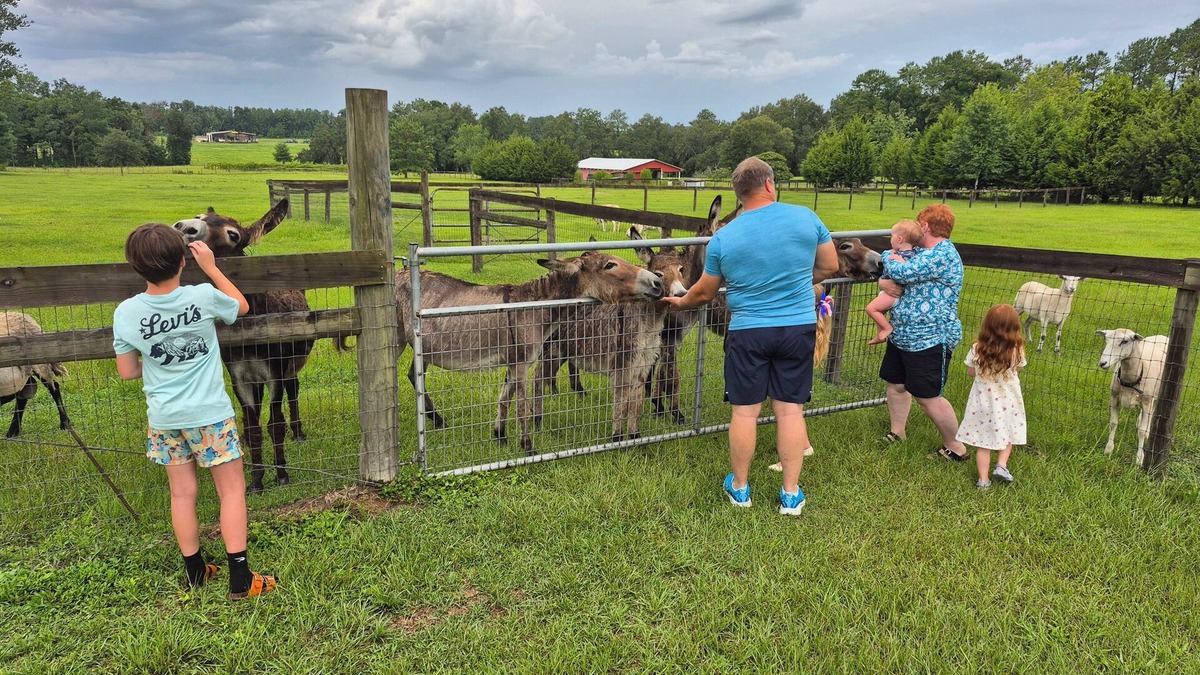 Williston House | Quiet Country Getaway in Horse County Close to Ocala/Gainesville, Pet Friendly!