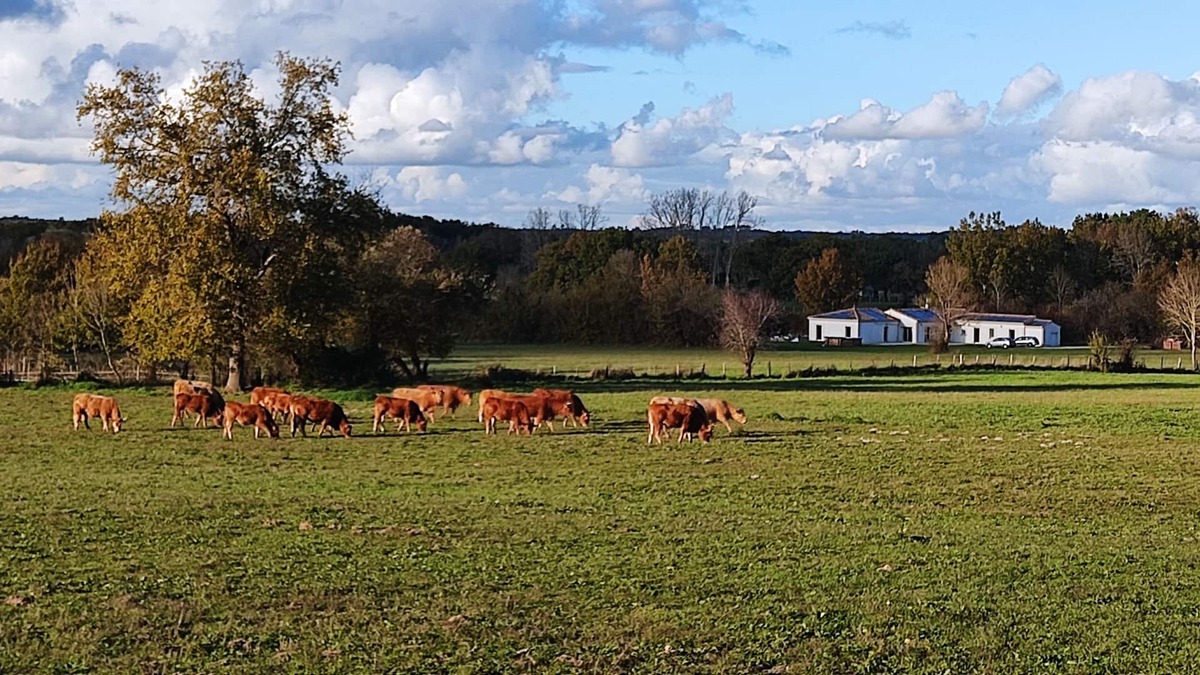 Saint-Savin House | QUIET COUNTRY HOUSE