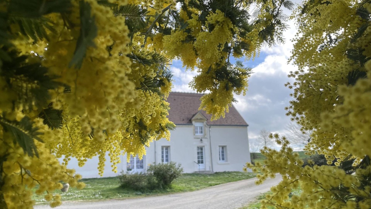 Gracay Cottage | Quiet Country House - Pets accepted.