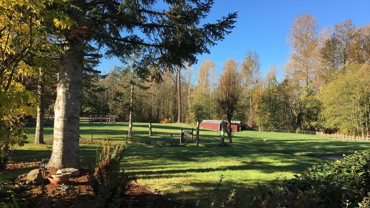 Edgewood House | Quiet Country Retreat, 4 Bedroom Rambler on 9 Acres in Rural Edgewood Sleeps 9
