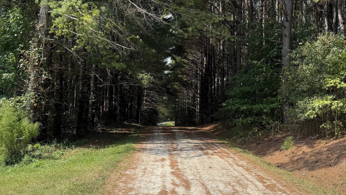 Vale Other | Quiet farmhouse with pasture in Vale