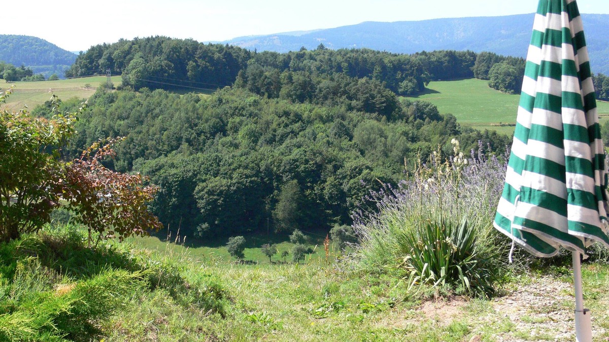 Labaroche Apartment | Quiet gîte in the Ballons des Vosges regional nature park
