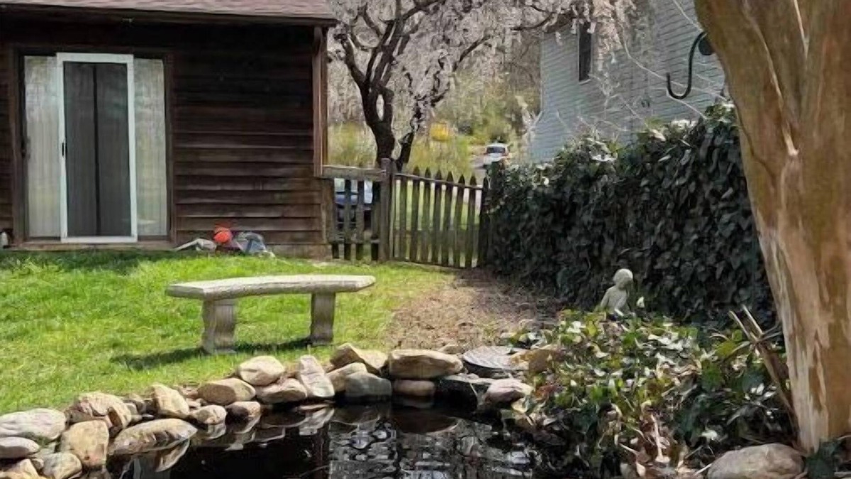 Roanoke House | Quiet home that deer visit