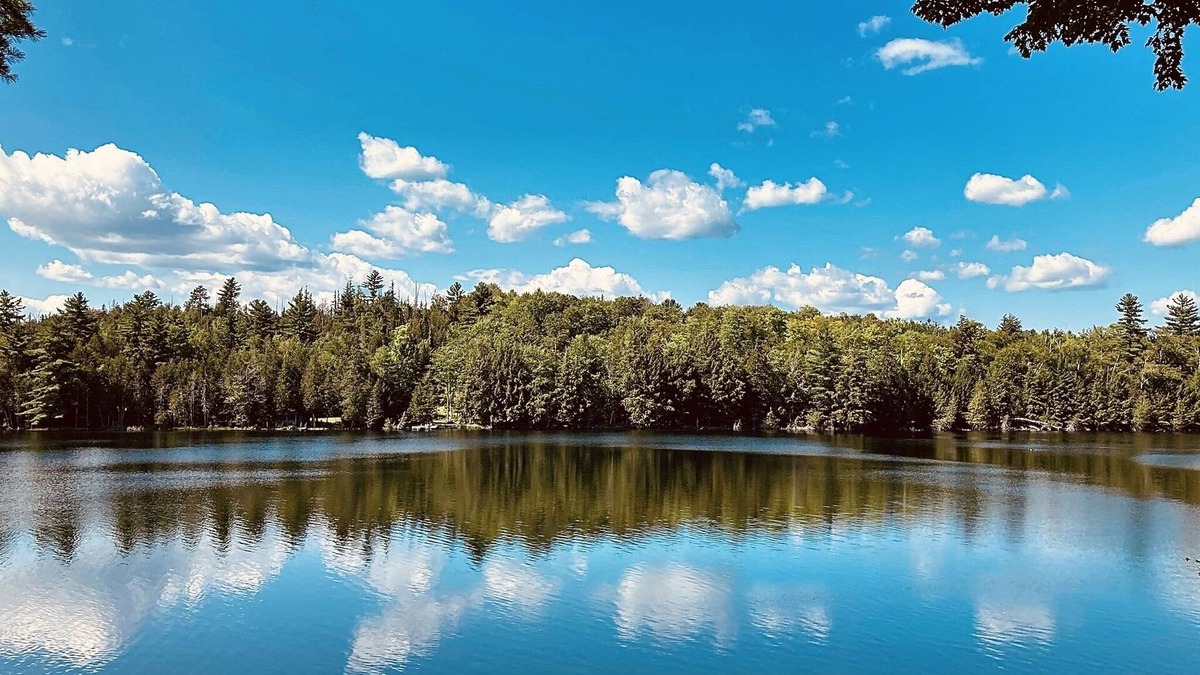 East Corinth Cabin | Quiet lakeside getaway in Central Maine - 5 minutes from town!