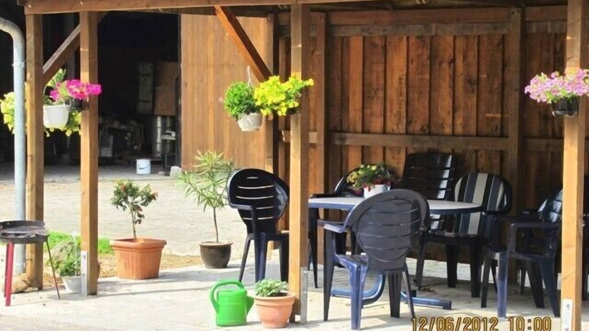 Osterbruch Other | Quiet location, plenty of space to play, large garden, bread roll service