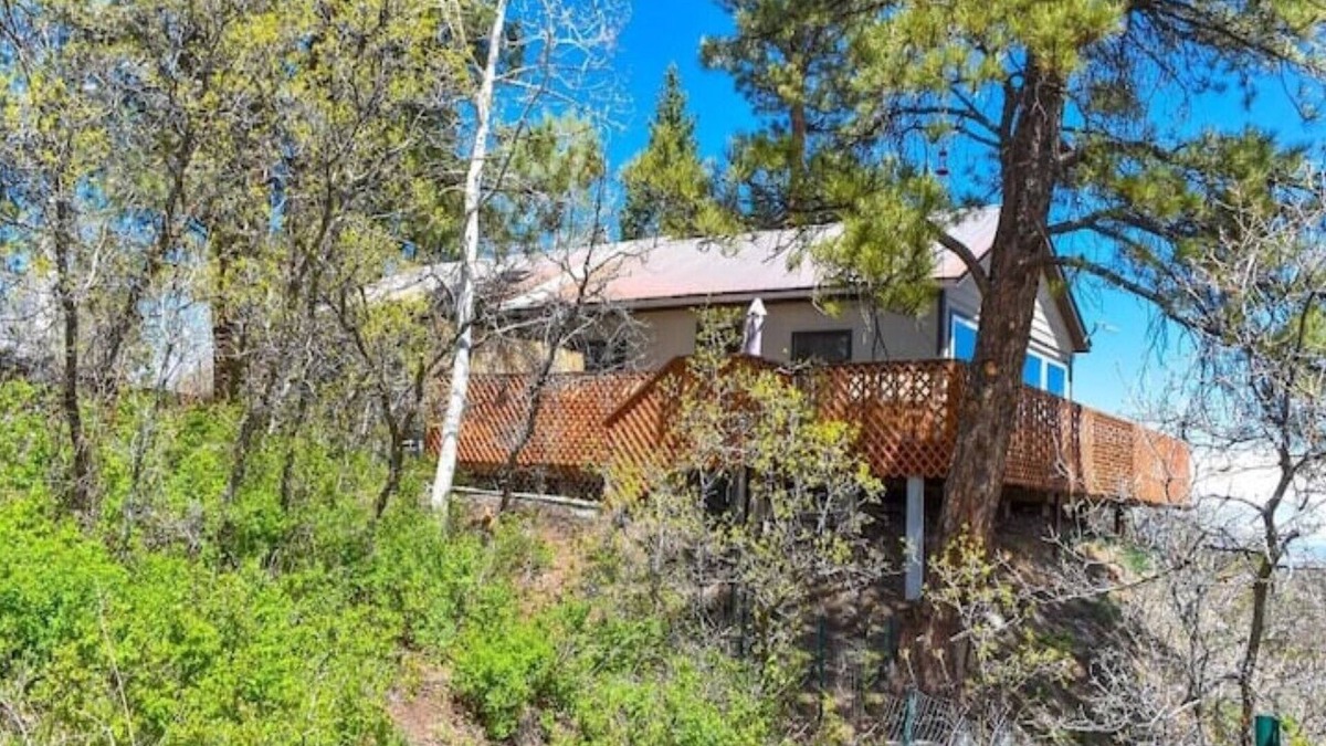 Elk Meadows Cabin | Quiet mountain getaway with lots of privacy