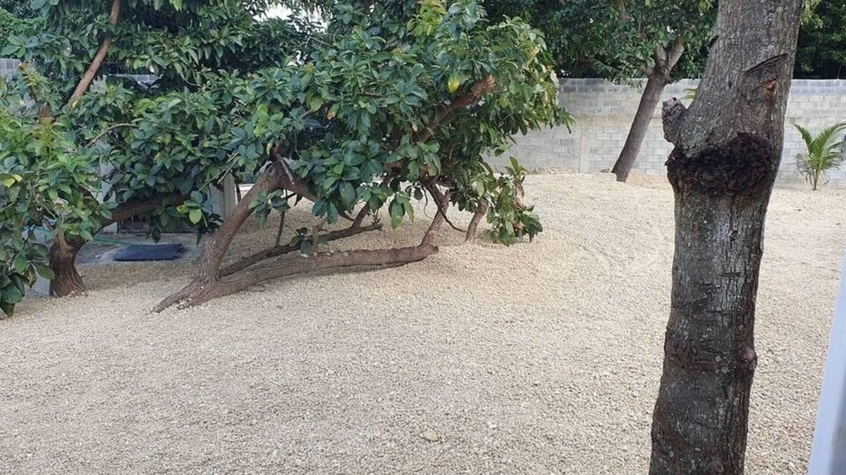 Bajos de Haina House | Quiet refuge in San Gregorio de Nigua, history, nature and security.
