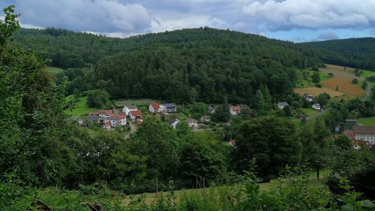 Schonbrunn Apartment | Quiet, spacious maisonette apartment (6pers.) 2bathrooms, 2balconies 30km to Heidelberg