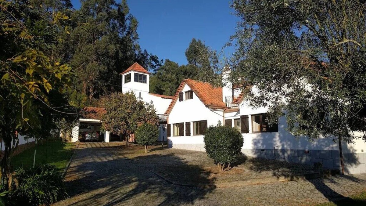 Santa Comba Dao Villa | Quiet villa with large garden and private pool, central Portugal