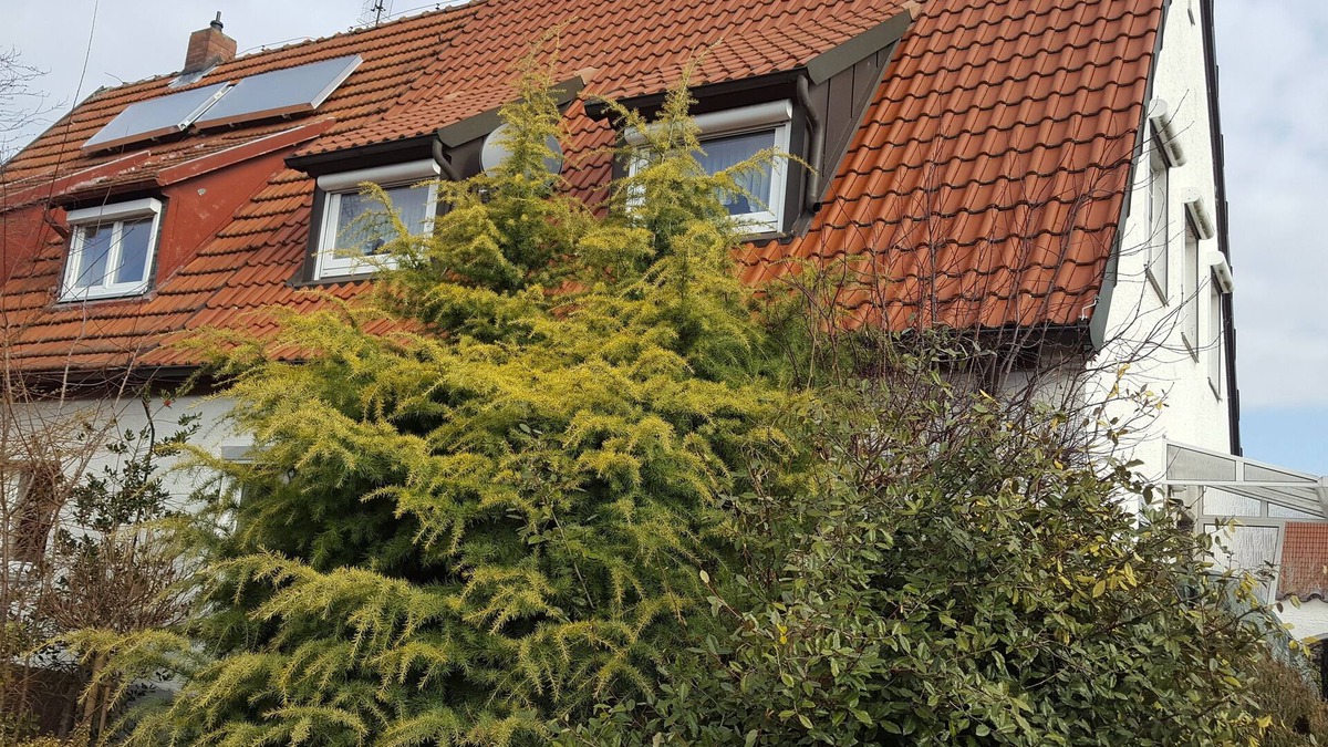 Buchenbuhl House | Quietly located semi-detached house with terrace near the forest