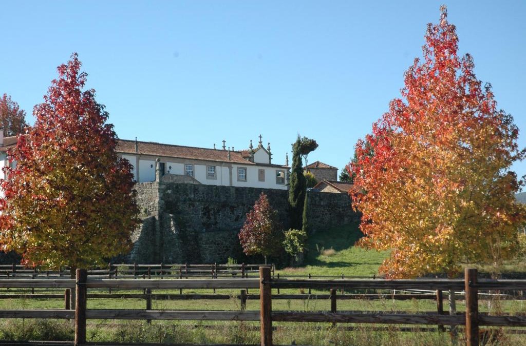 Fontoura House | Quinta da Casa Alta