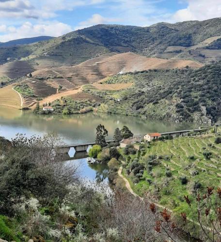 Sao Joao da Pesqueira House | Quinta da Ferradosa Wines