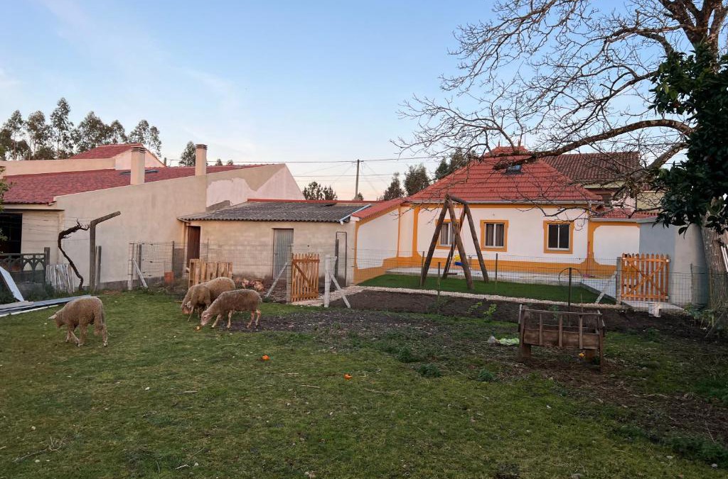 Pombal House | Quinta da nogueira