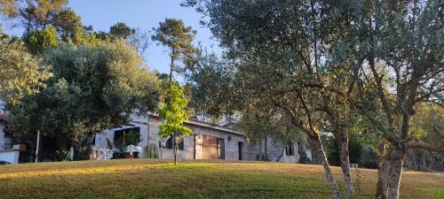 Santar House | Quinta da Pedra Mija