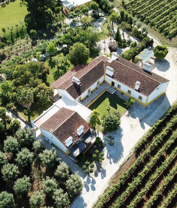 Borba House | Quinta da Trombeta