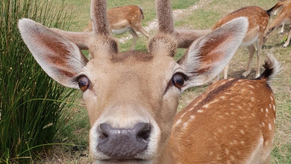 Sargacal Other | Quinta das origens - Balance studio