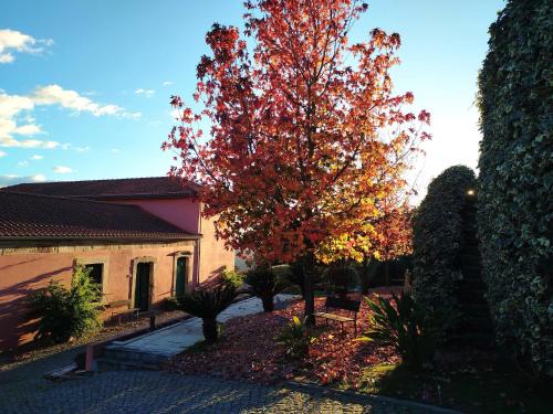 Vila Marim House | Quinta de Baixo