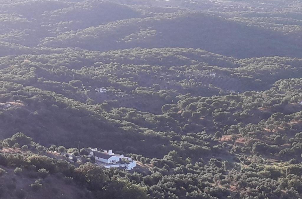 Estremoz House | Quinta de Evoramonte