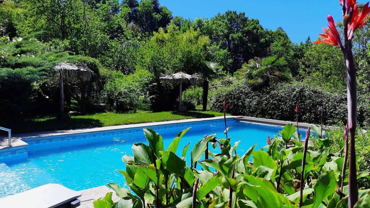 Vila Cha do Marao House | QUINTA DE RIBAS - LA CLEF DES CHAMPS - AUTHENTIC LITTLE HOUSE
