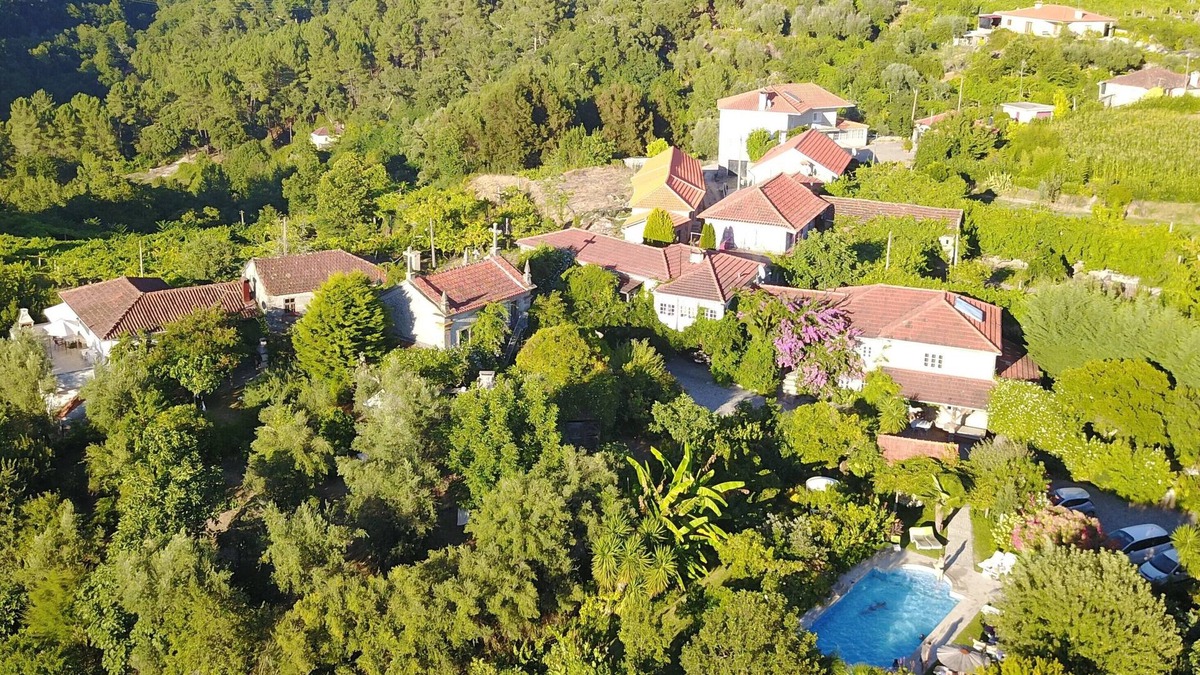 Vila Cha do Marao House | QUINTA DE RIBAS - LES OLIVIERS - QUIET GITE SURROUNDED BY GREENERY