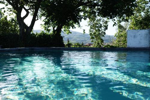 Peso da Regua House | Quinta de Villa Franca - Douro
