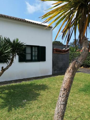 Capelo Apartment | Quinta do Areeiro