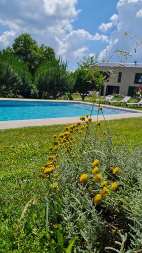 Povoa de Lanhoso House | Quinta do Paúl de Baixo