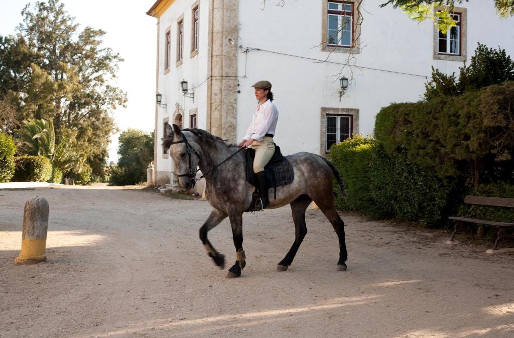Golega House | Quinta dos Álamos Agroturismo