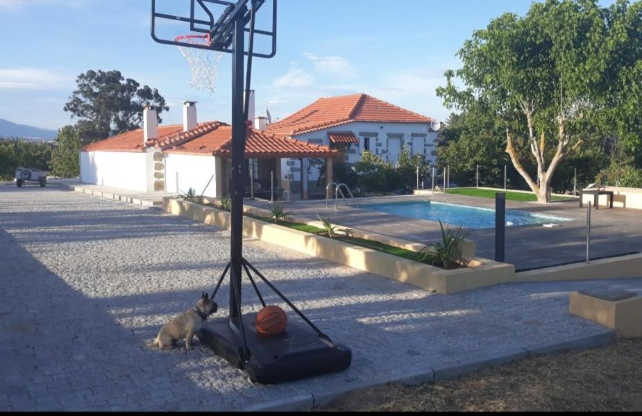 Fundao House | Quinta Lameira do Vale