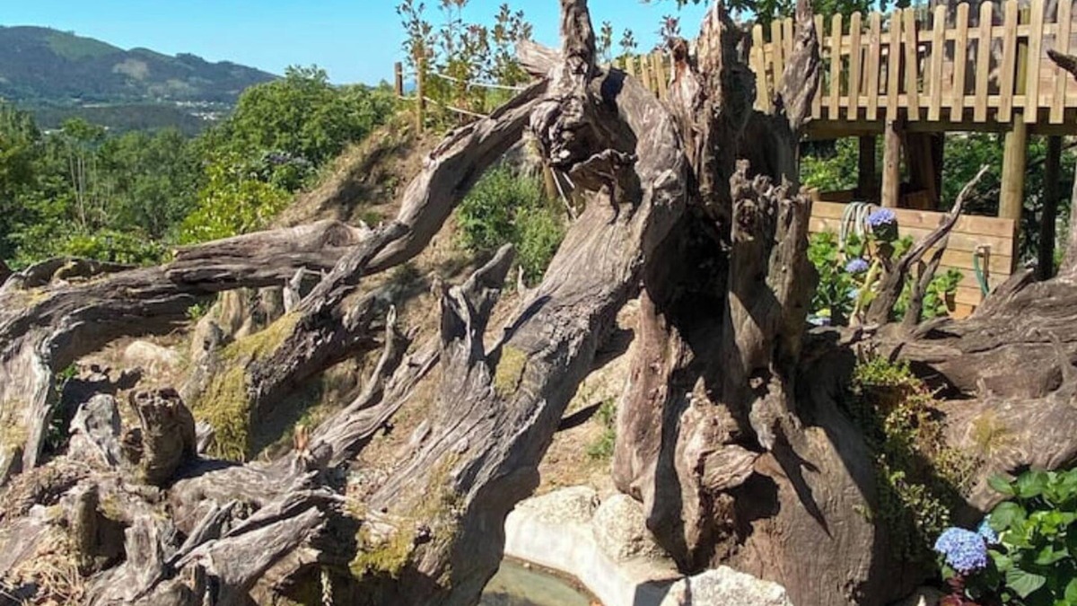 Pico Cottage | Quinta Souto Velho- Gêres