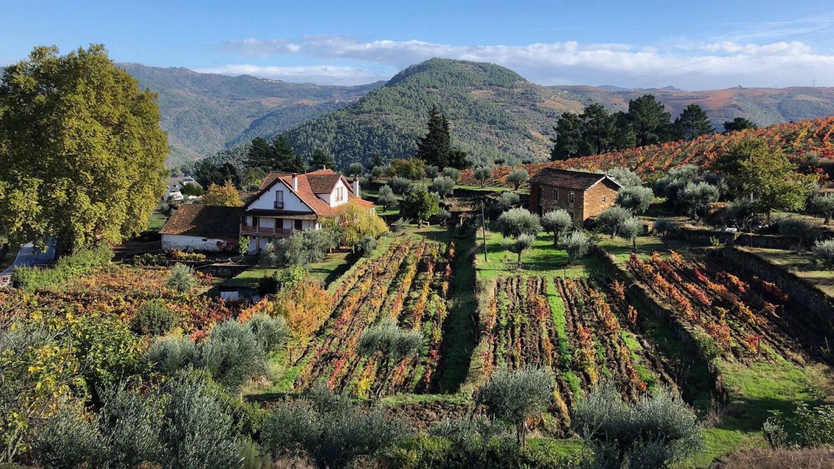 Cotas Other | Quinta Vila Rachel - Adega com Provas de Vinho