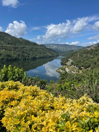 Ribadouro House | Quinta Vale do Cabo