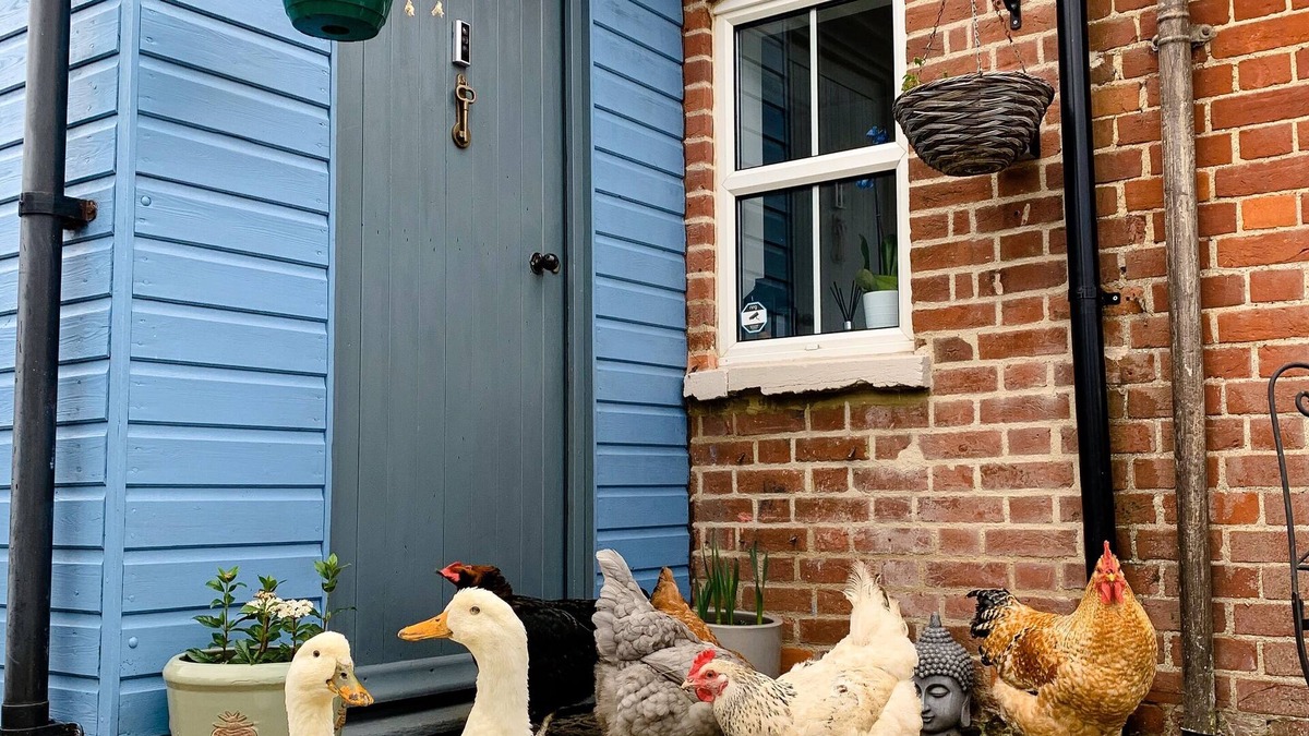 Rendlesham Cottage | Quirky Victorian Farm Cottage Next to Rendlesham Forest and Close to the Beach