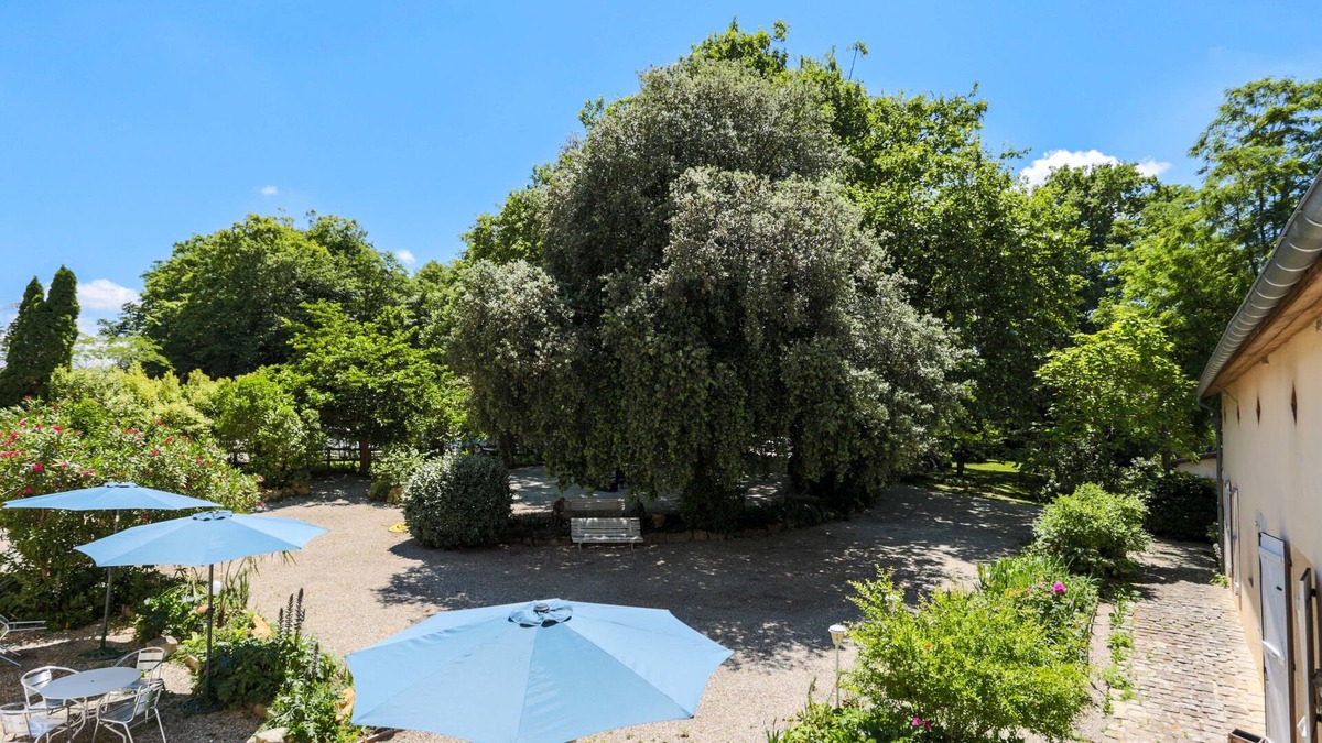 Cazaubon House | Résidence du Chateau de Bégué
