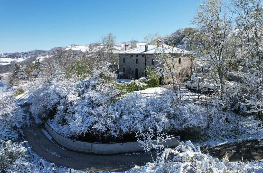 Santa Sofia House | Raggio Campacci di Sacchetti Vanessa