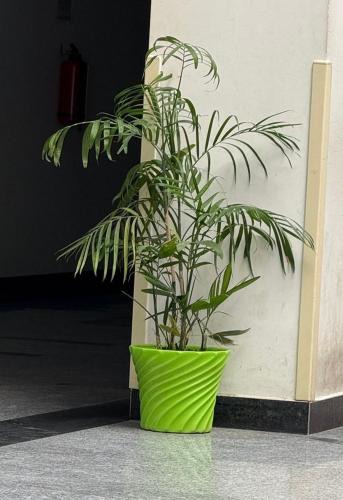 Haraiya House | Raghuvar Residency