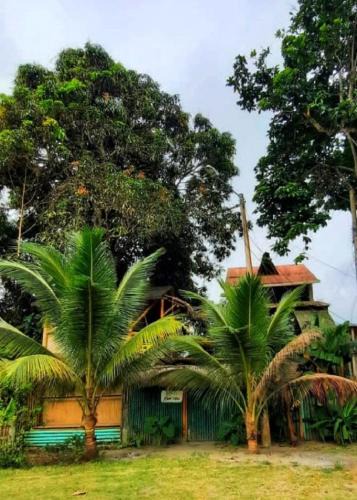 Mompiche House | Raices Mompiche