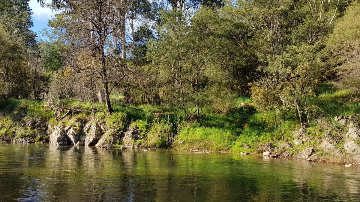 Porepunkah House | Rail Trail River House