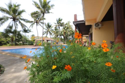 Nadi Bed & Breakfast | Rainbow holiday resort
