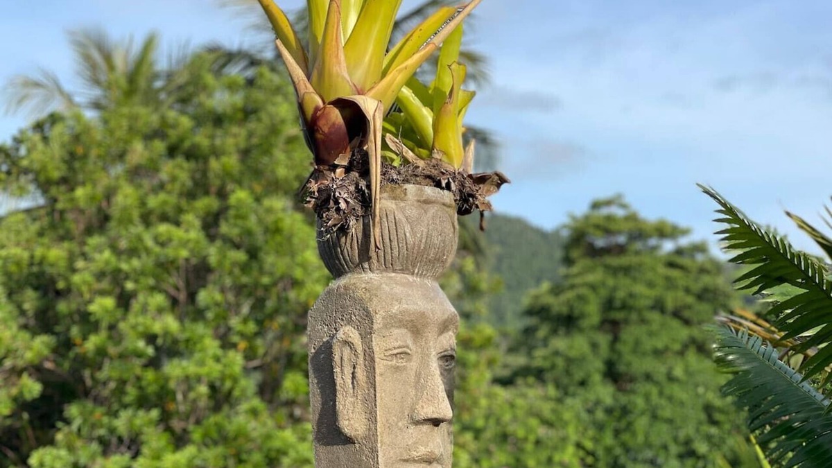 Mission Beach Apartment | Rainforest King Rooms | Shared Kitchen + Lounge | Sleeps 2–8