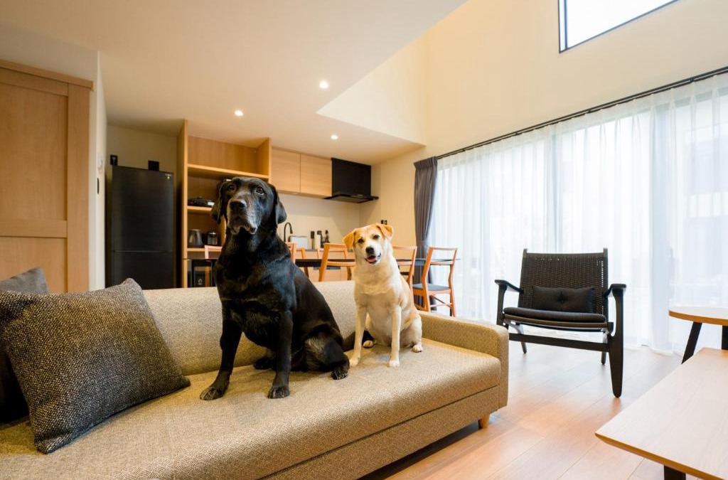 Kominato Onsen House | Rakuten STAY VILLA Kamogawa Building D with Terrace and sauna Capacity of 10 persons Pets allowed