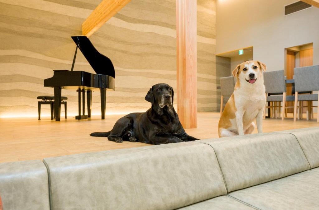 Kominato Onsen House | Rakuten STAY VILLA Kamogawa Building A with Pool and Terrace and sauna Capacity of 12 persons Pets allowed