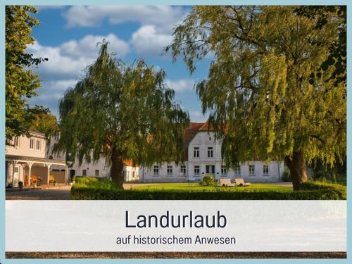 Steinberg Apartment | RamosHansenHof Fewo Nordlicht 6 Personen Hund inklusiv