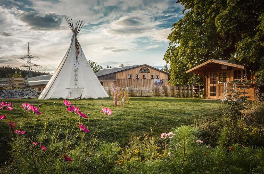 Elterlein Apartment | Ranchhouse Smoker- Westernstable - Horse