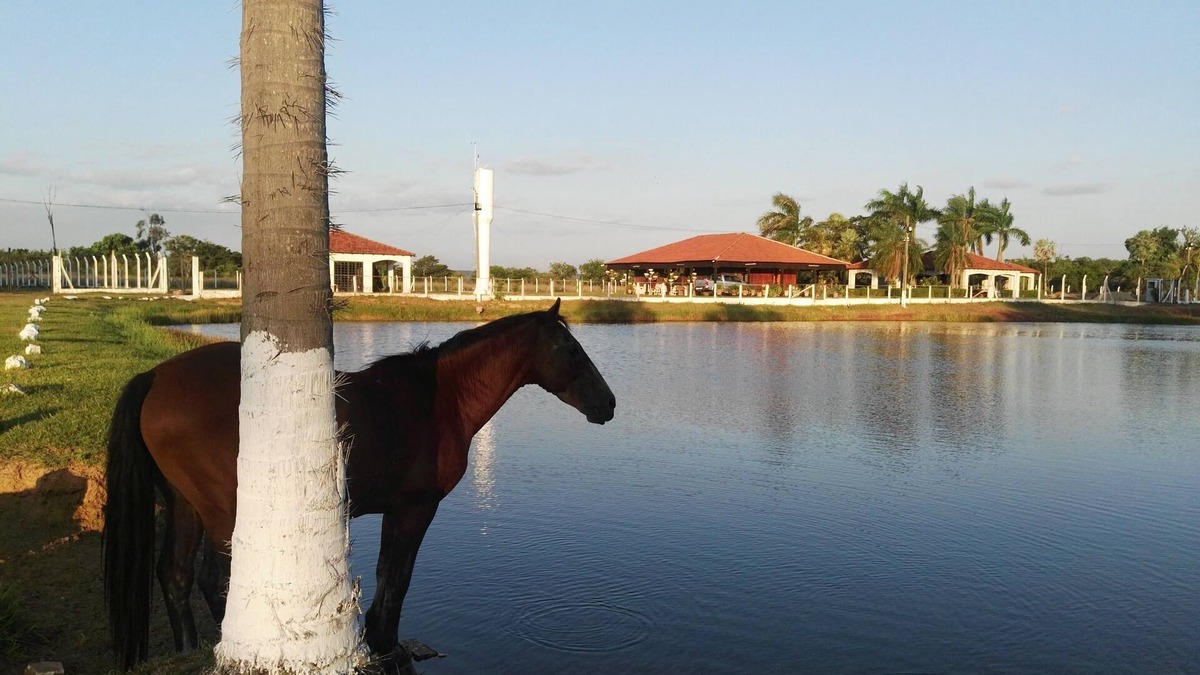 Arroyos y Esteros House | RANCHO SEIBERT TURISMO