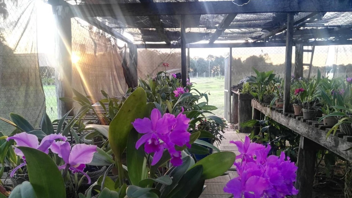 Arroyos y Esteros House | Rancho Seibert