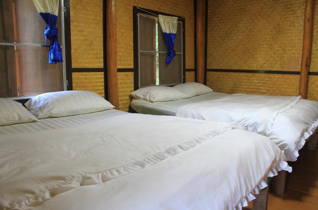 Ban Luang Cabin | Rangbondoi - Birdhides Included and available for birding guide
