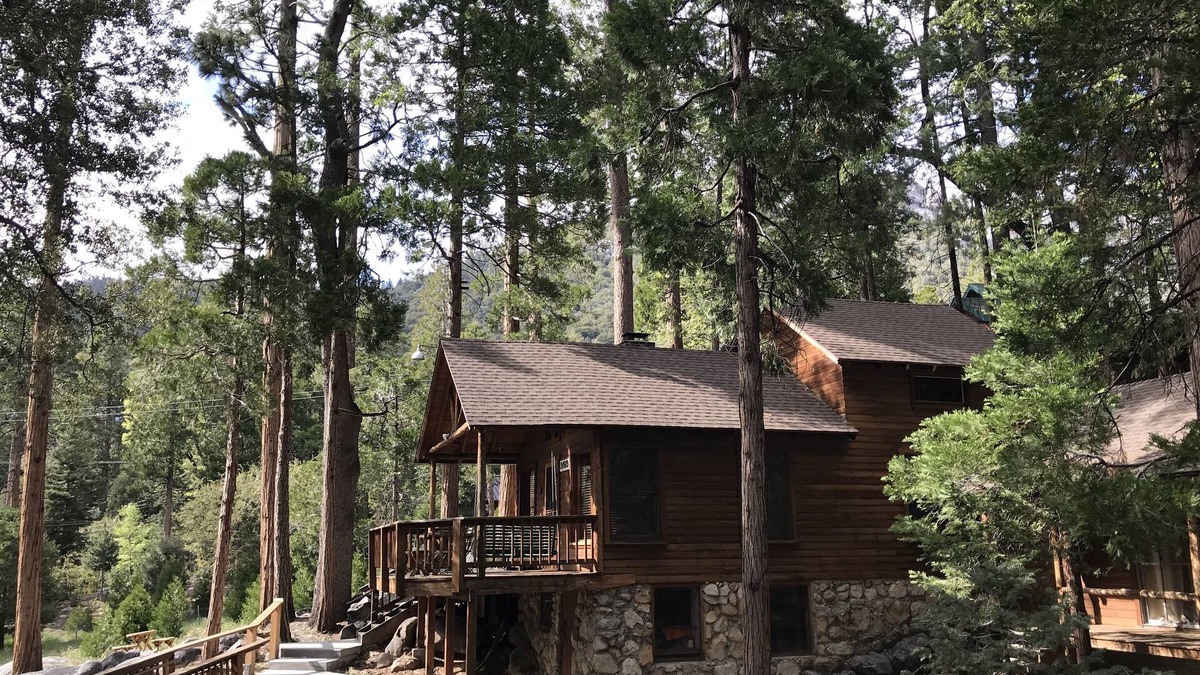 Fern Valley Cabin | Rare & Authentic in Prime Location, Views, Chef Kitchen & Style